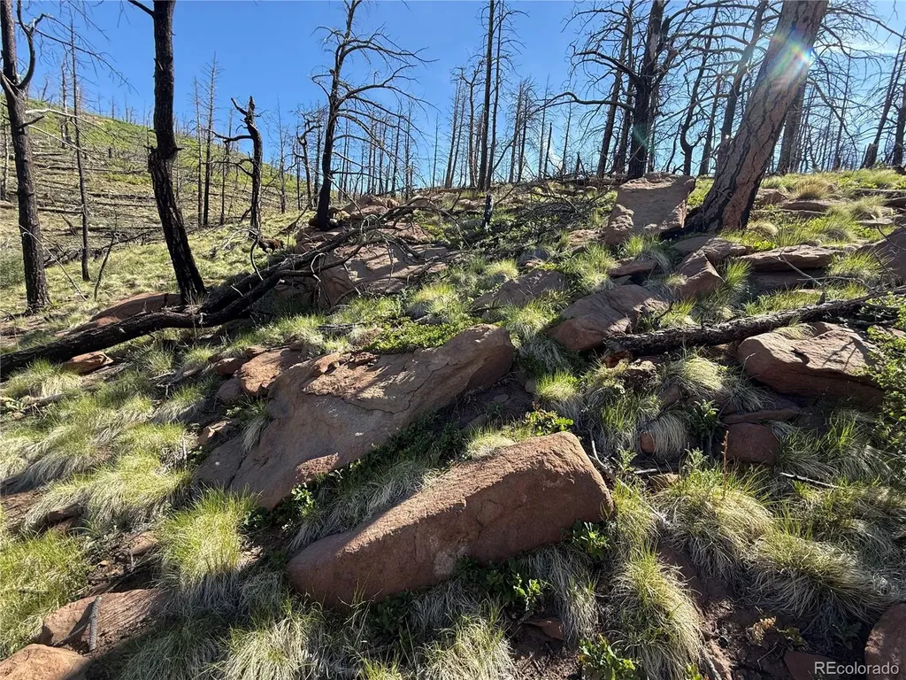Lot 377 Powers Road Fort Garland CO 81133