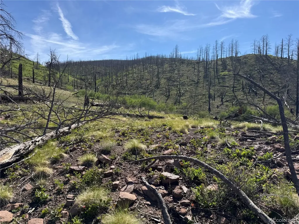 Lot 377 Powers Road Fort Garland CO 81133