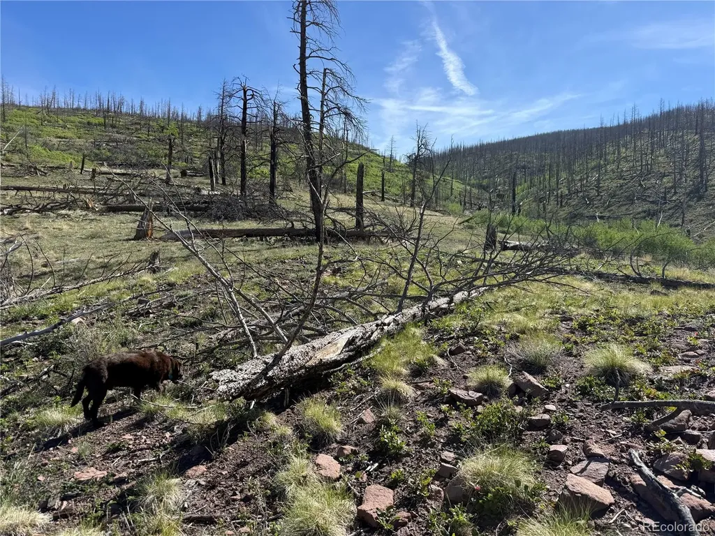 Lot 377 Powers Road Fort Garland CO 81133