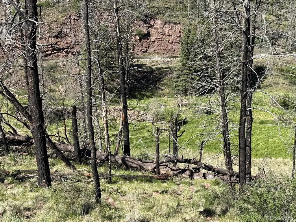 Lot 377 Powers Road Fort Garland CO 81133