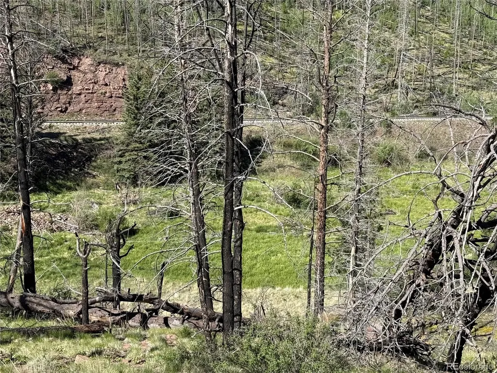 Lot 377 Powers Road Fort Garland CO 81133
