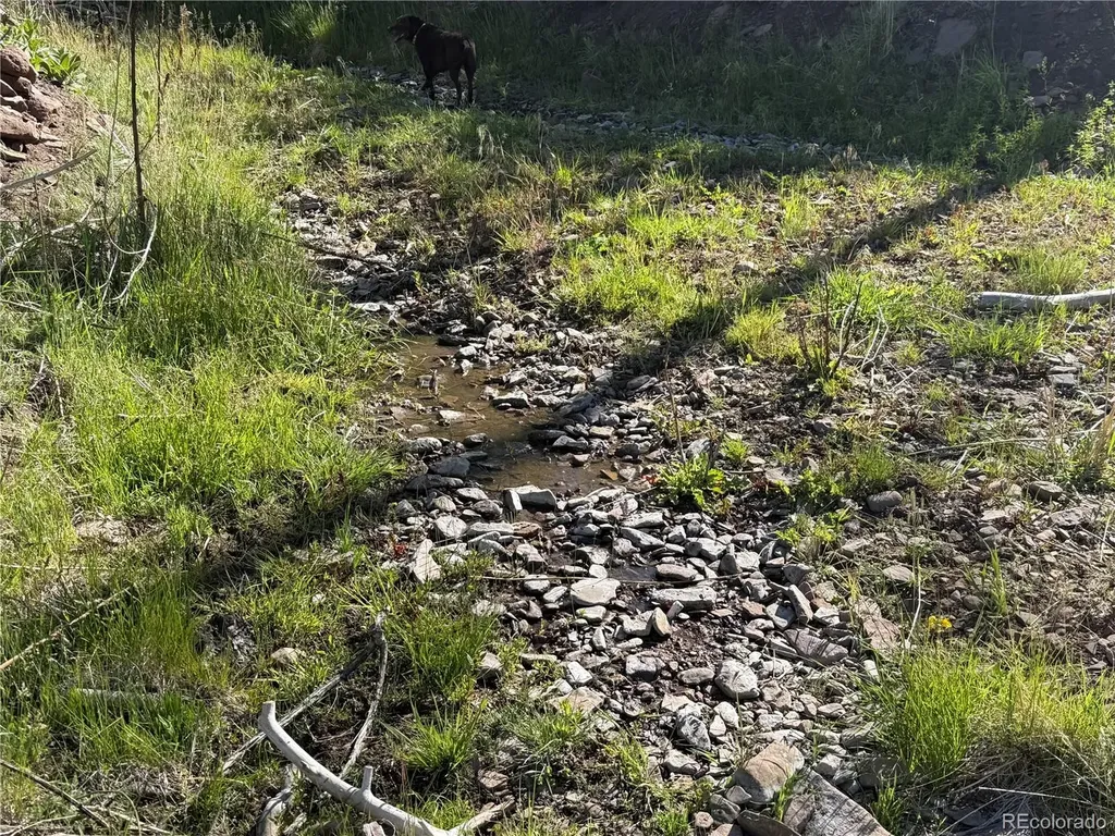 Lot 377 Powers Road Fort Garland CO 81133