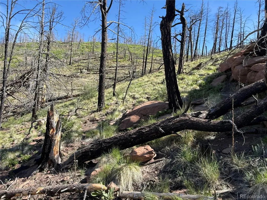 Lot 377 Powers Road Fort Garland CO 81133