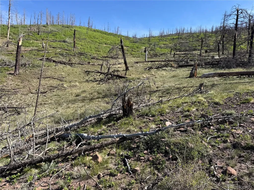 Lot 377 Powers Road Fort Garland CO 81133