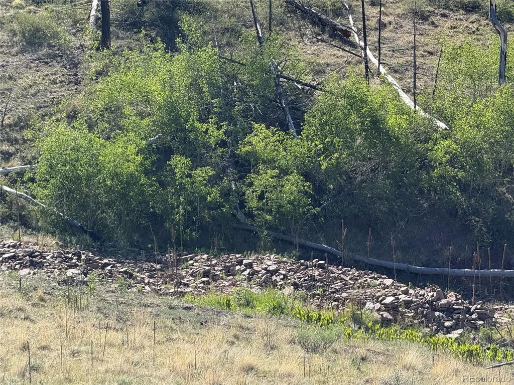 Lot 377 Powers Road Fort Garland CO 81133