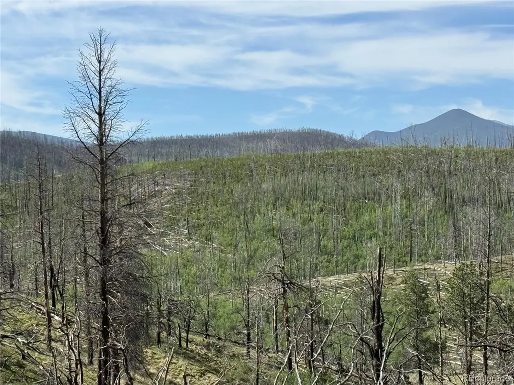Lot 377 Powers Road Fort Garland CO 81133