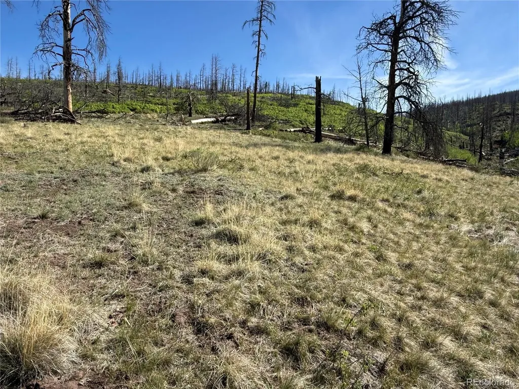 Lot 377 Powers Road Fort Garland CO 81133