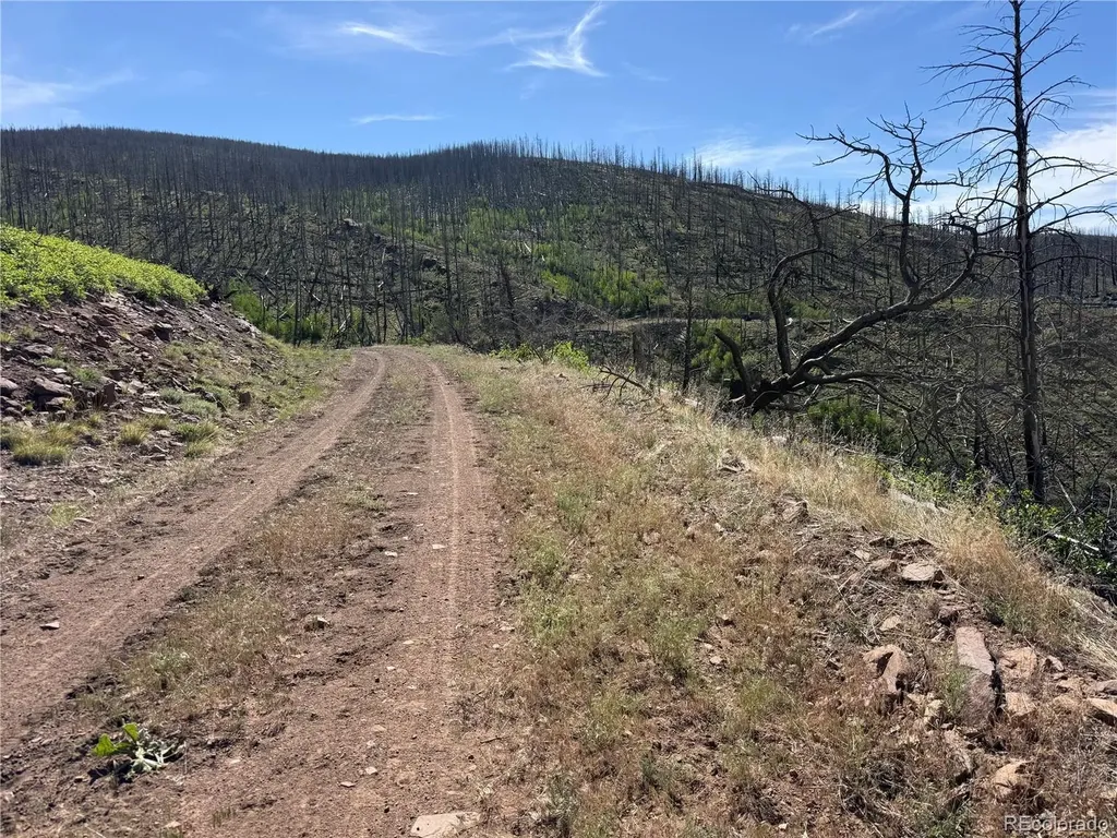 Lot 377 Powers Road Fort Garland CO 81133