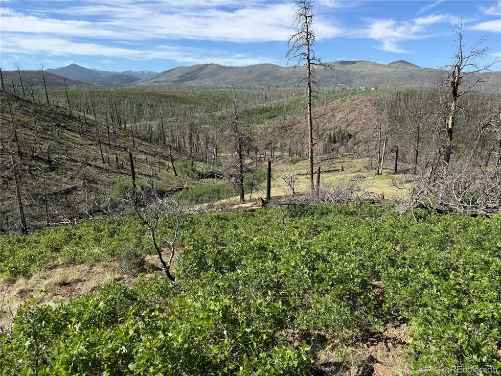 Lot 377 Powers Road Fort Garland CO 81133