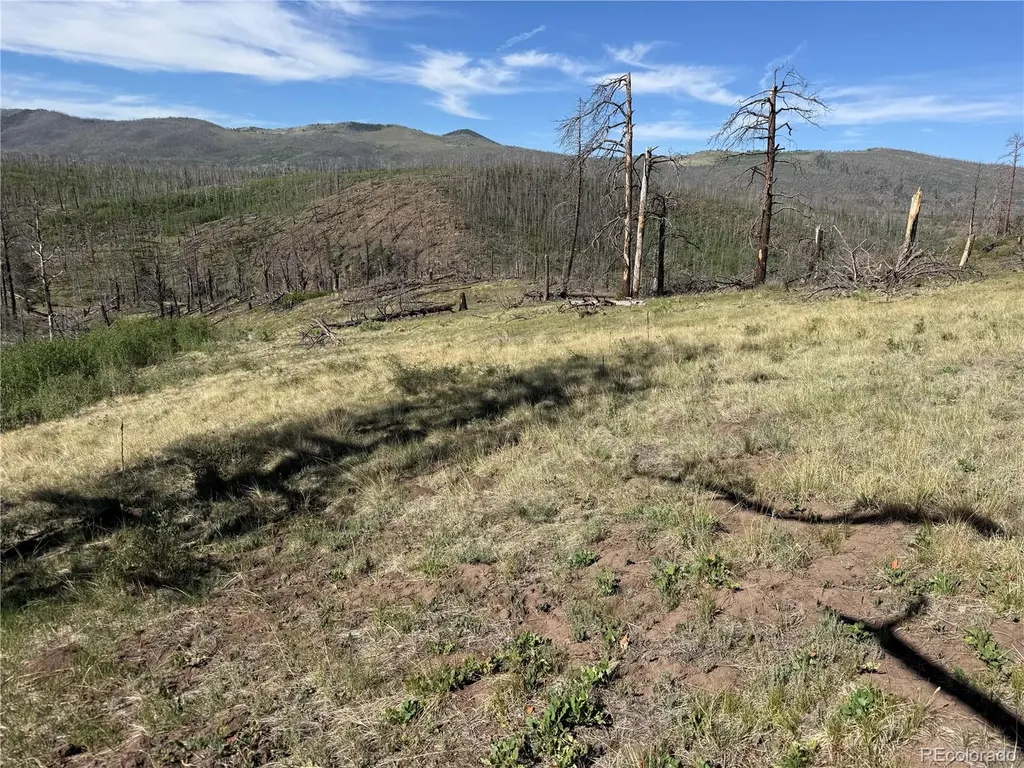 Lot 377 Powers Road Fort Garland CO 81133