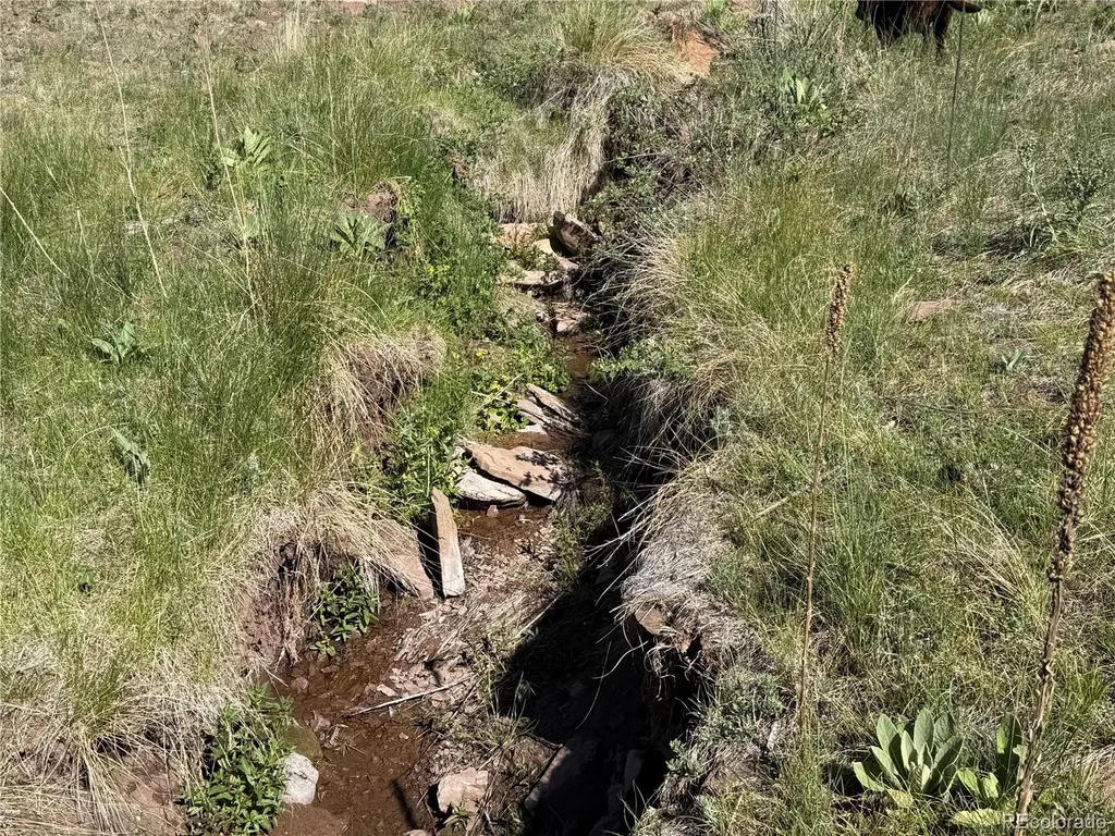 Lot 377 Powers Road Fort Garland CO 81133