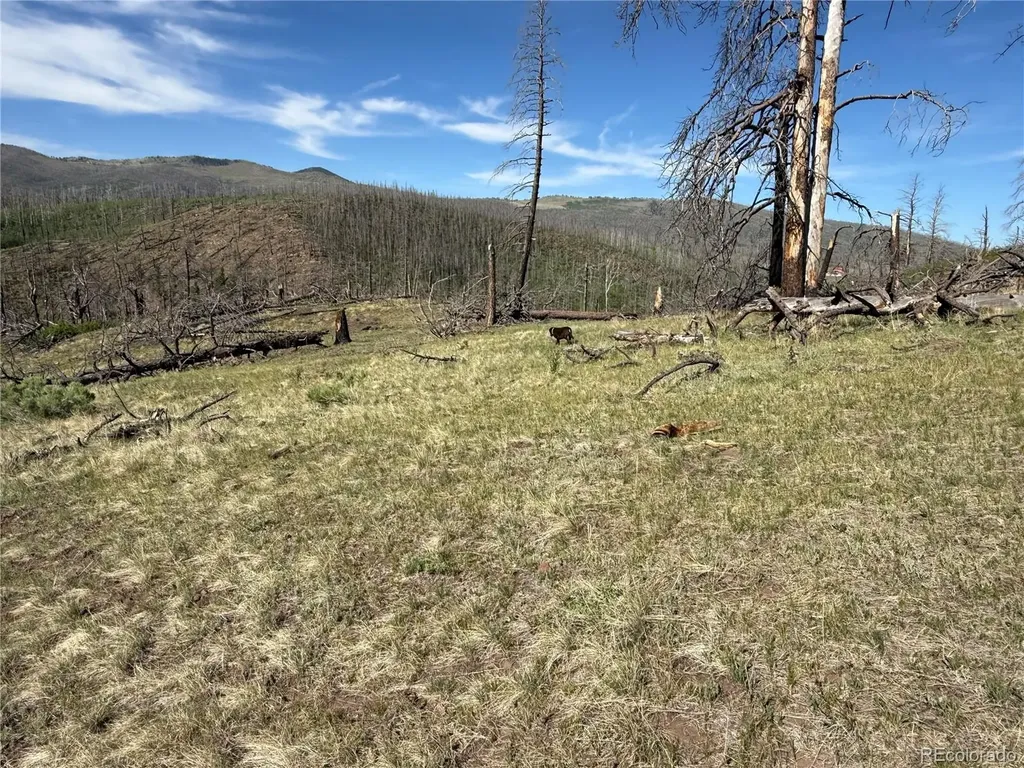 Lot 377 Powers Road Fort Garland CO 81133