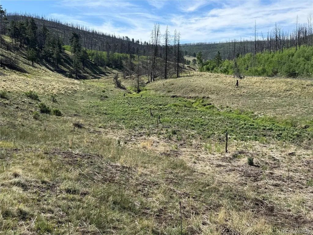 Lot 377 Powers Road Fort Garland CO 81133