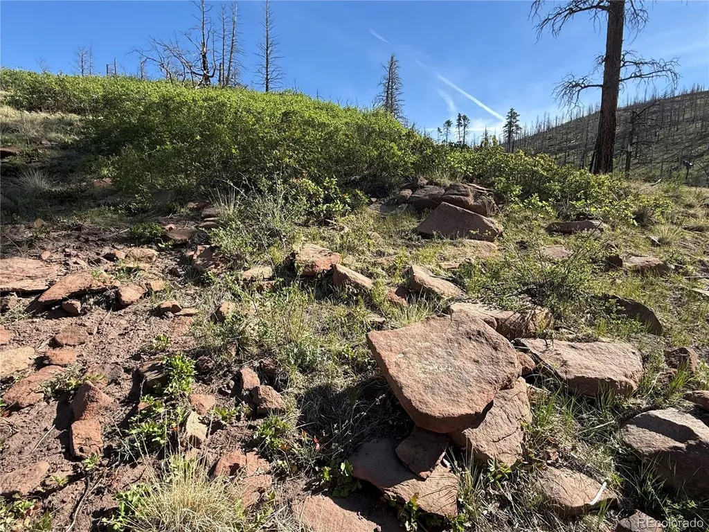 Lot 377 Powers Road Fort Garland CO 81133