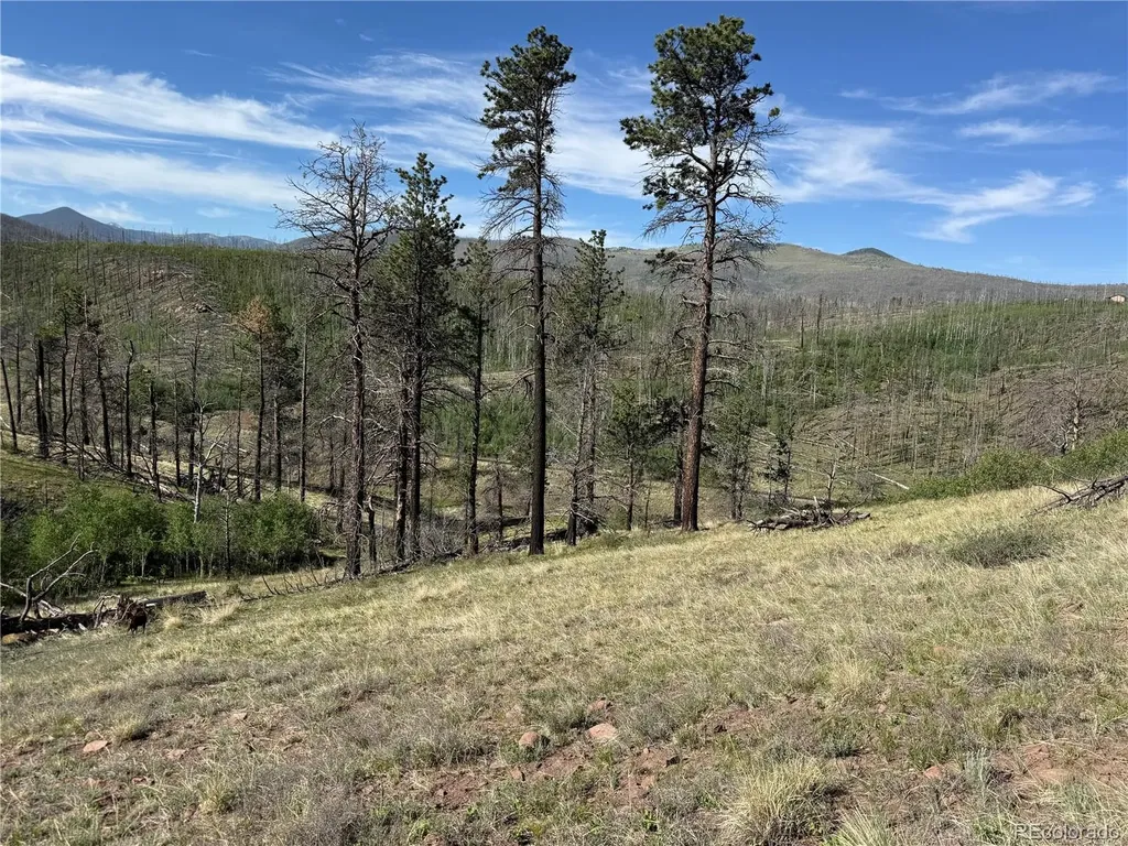 Lot 377 Powers Road Fort Garland CO 81133