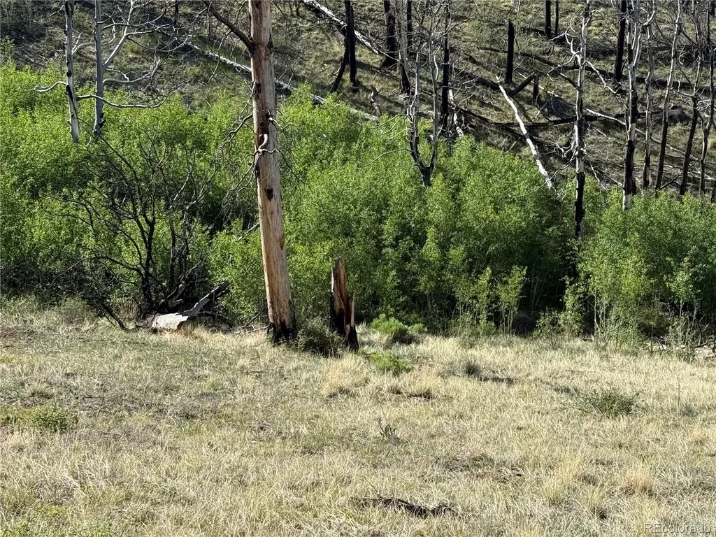 Lot 377 Powers Road Fort Garland CO 81133