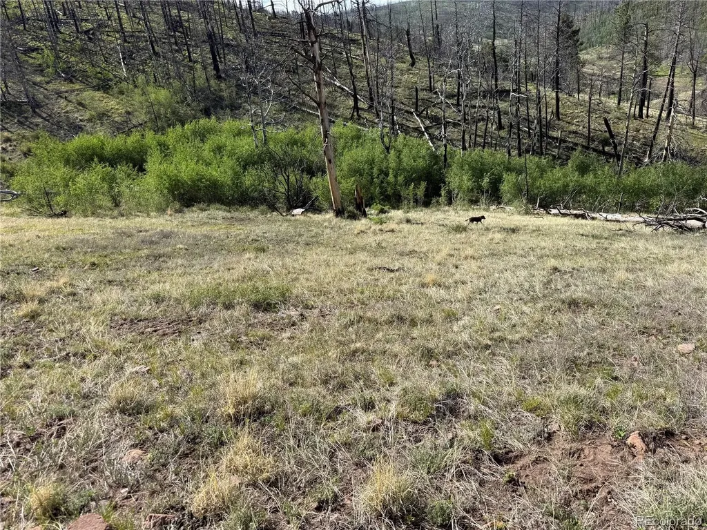 Lot 377 Powers Road Fort Garland CO 81133