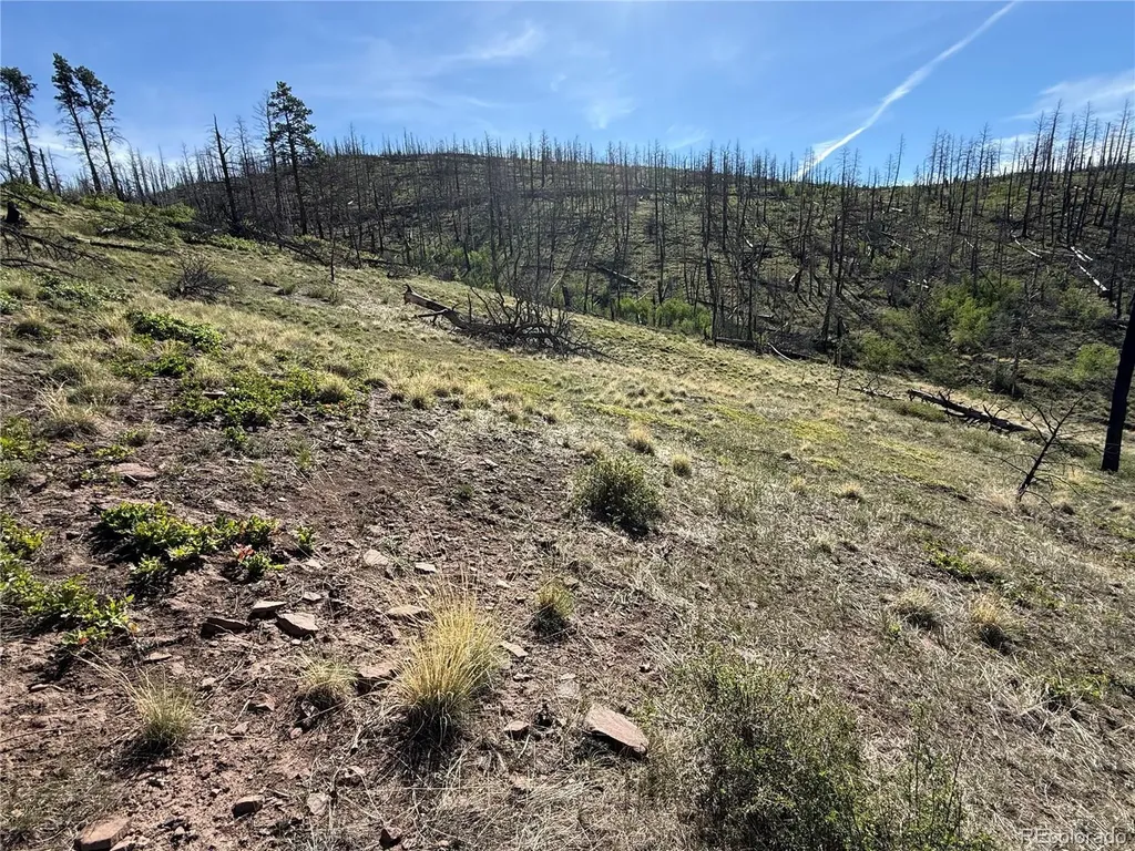 Lot 377 Powers Road Fort Garland CO 81133