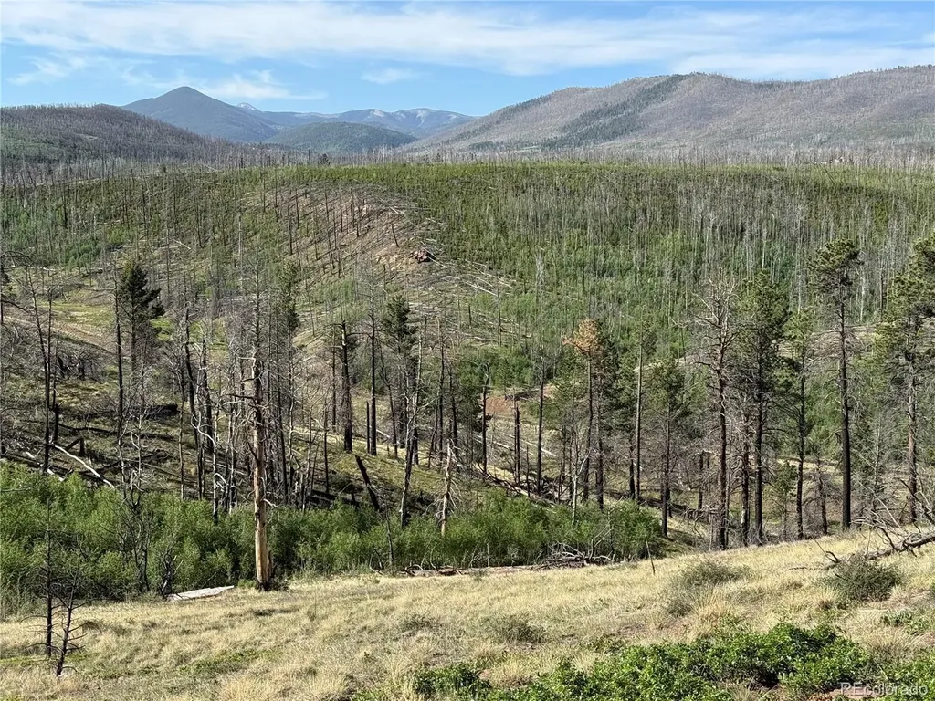 Lot 377 Powers Road Fort Garland CO 81133