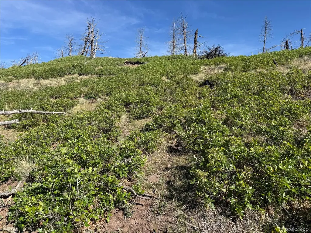 Lot 377 Powers Road Fort Garland CO 81133