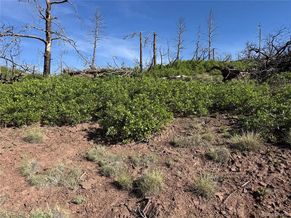 Lot 377 Powers Road Fort Garland CO 81133