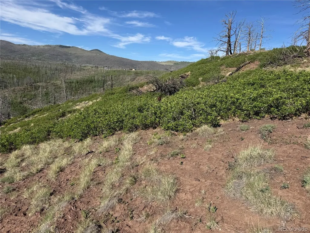 Lot 377 Powers Road Fort Garland CO 81133