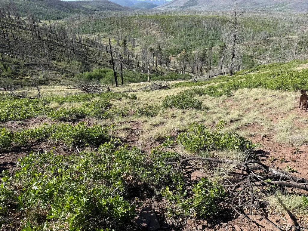Lot 377 Powers Road Fort Garland CO 81133
