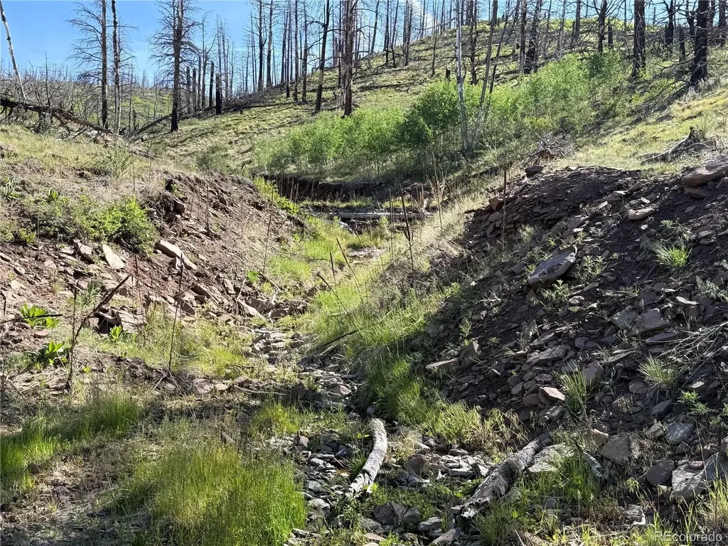 Lot 377 Powers Road Fort Garland CO 81133