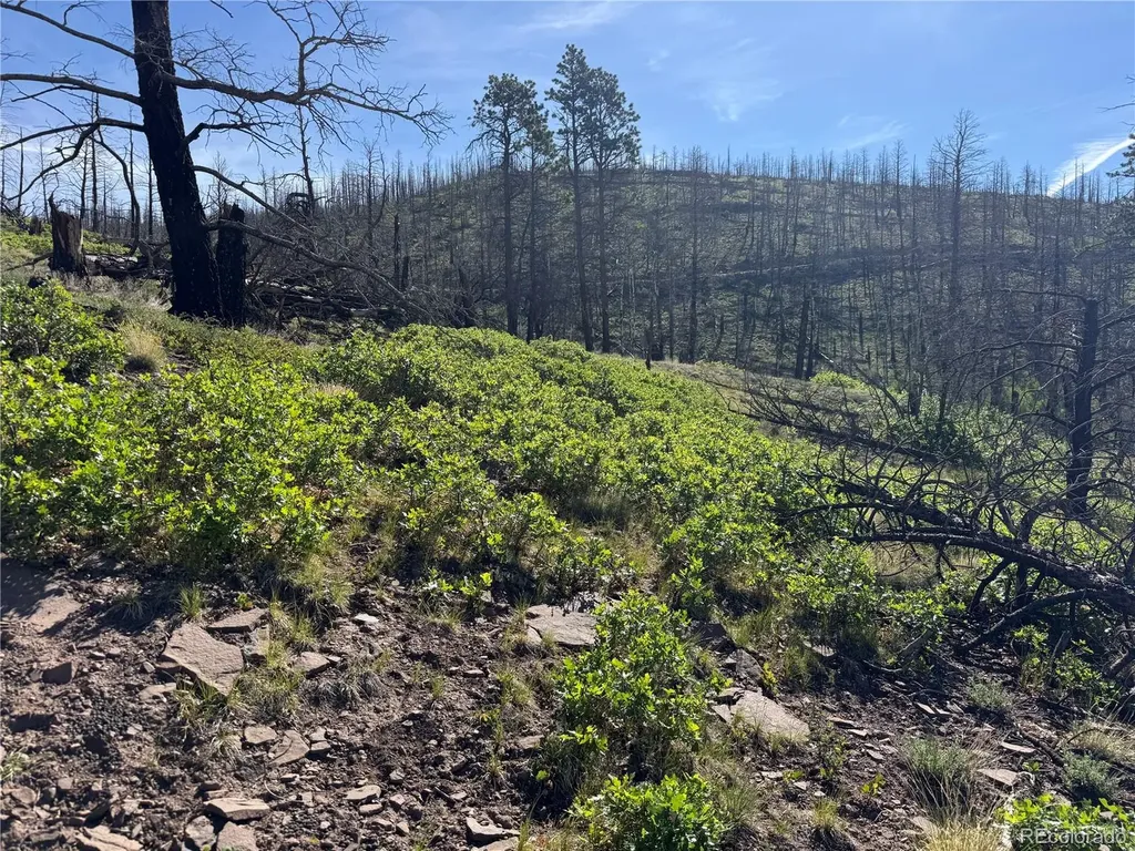 Lot 377 Powers Road Fort Garland CO 81133