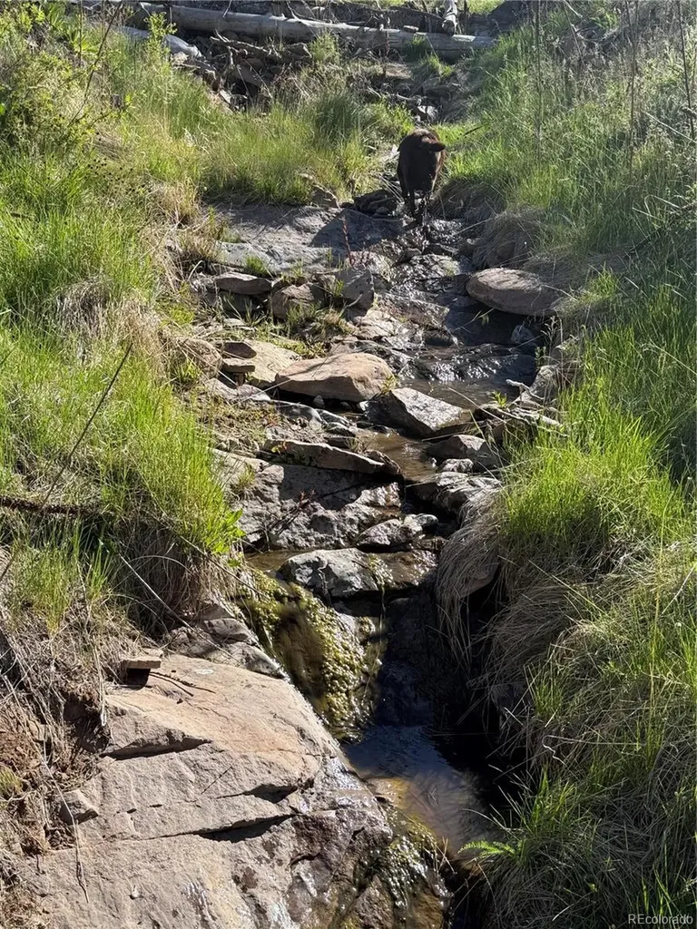 Lot 377 Powers Road Fort Garland CO 81133