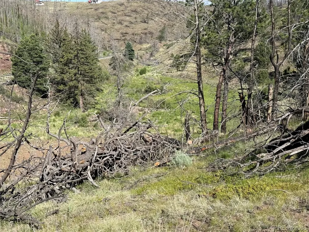 Lot 377 Powers Road Fort Garland CO 81133