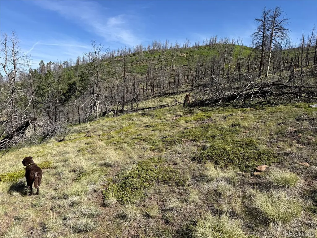Lot 377 Powers Road Fort Garland CO 81133