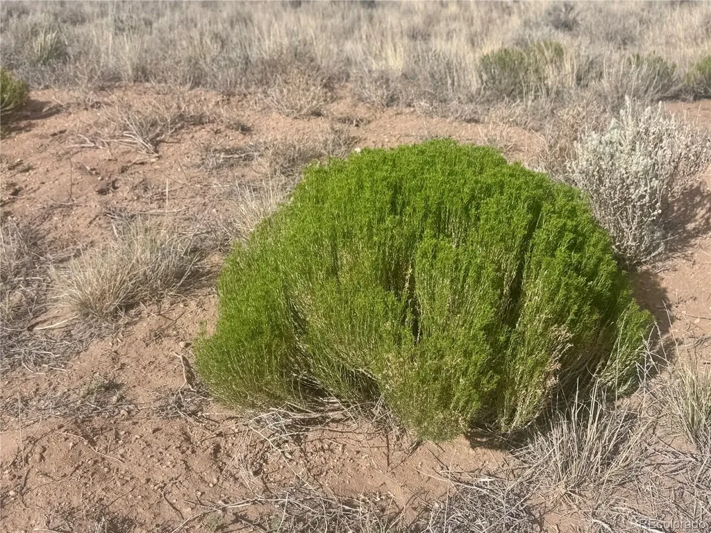 Lot 89 Zuni San Luis CO 81152