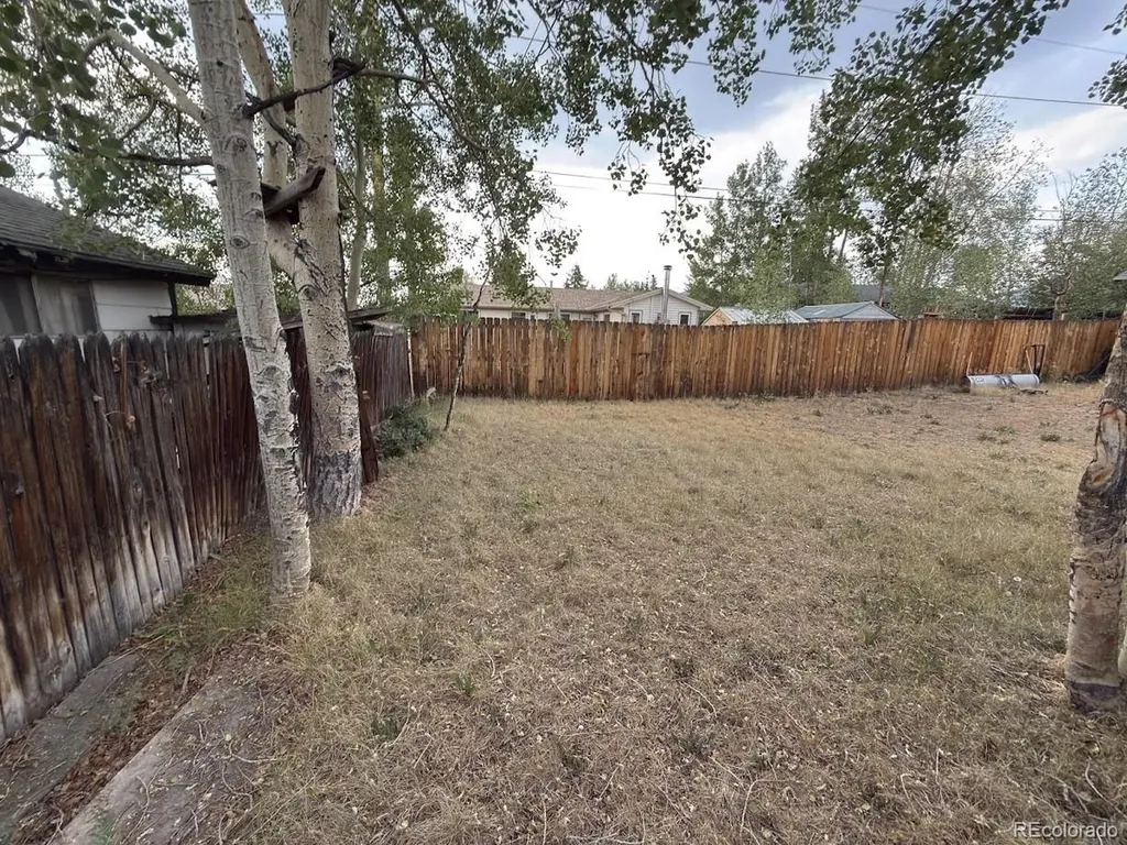 309 Mount Columbia Drive Leadville CO 80461