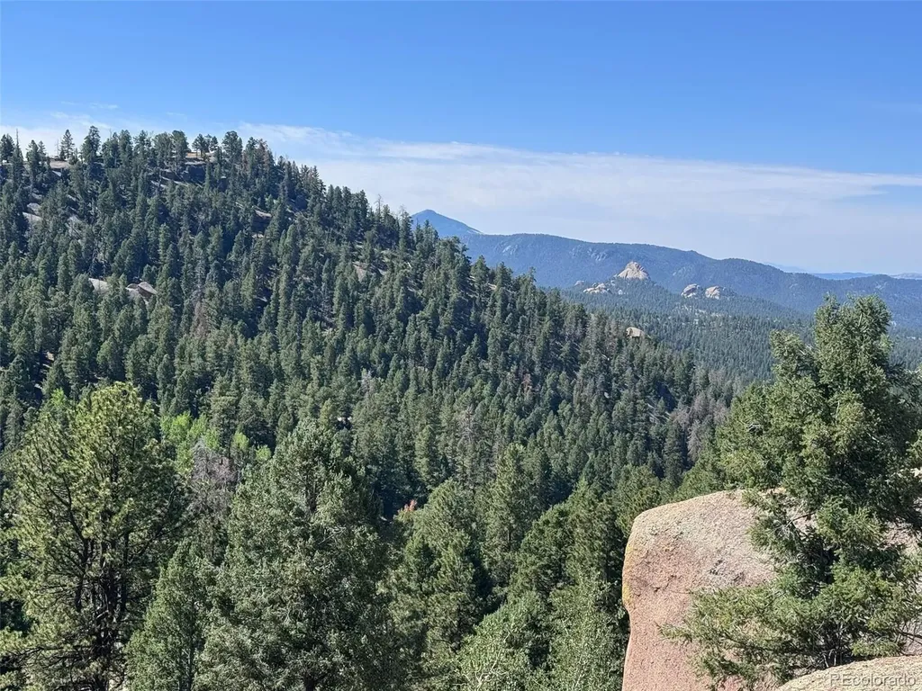 2334 N Mountain Estates Road Florissant CO 80816