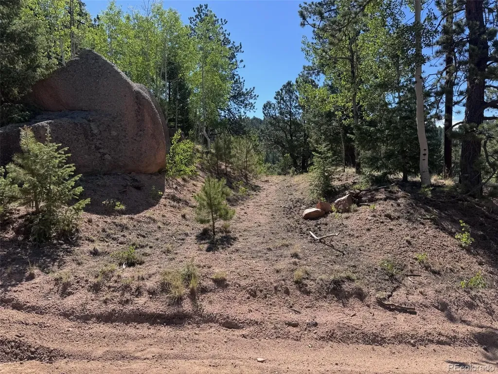 2334 N Mountain Estates Road Florissant CO 80816