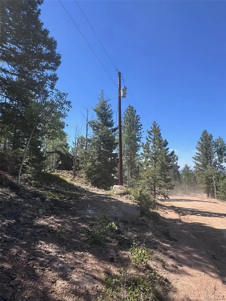 2334 N Mountain Estates Road Florissant CO 80816