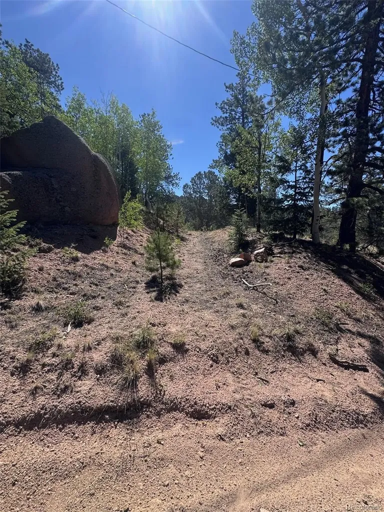 2334 N Mountain Estates Road Florissant CO 80816