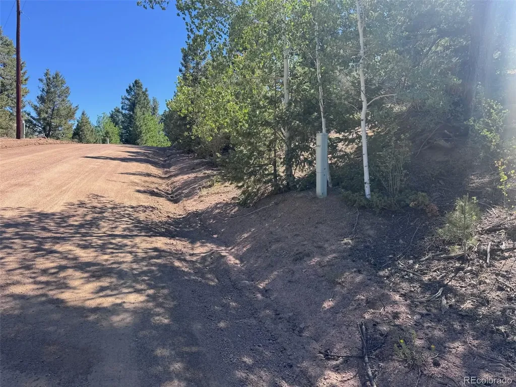 2334 N Mountain Estates Road Florissant CO 80816