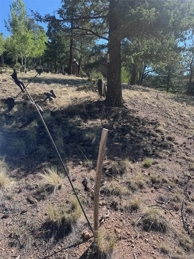2334 N Mountain Estates Road Florissant CO 80816