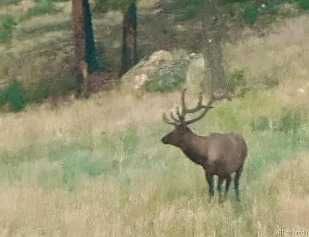 12799 Road 105 Mancos CO 81328