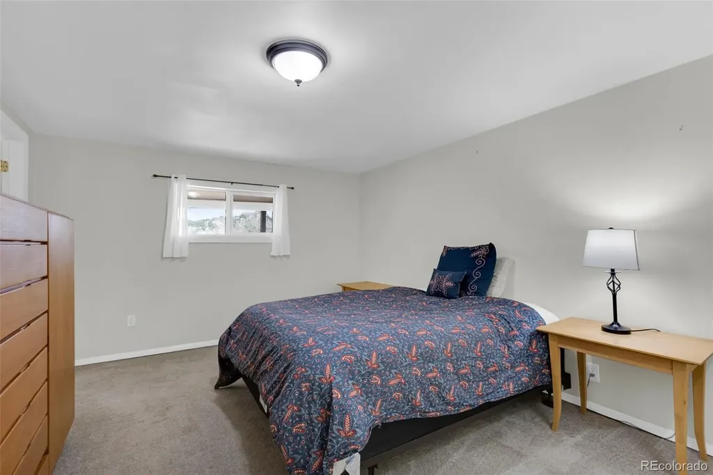 30428 Us Highway 24 Buena Vista CO 81211