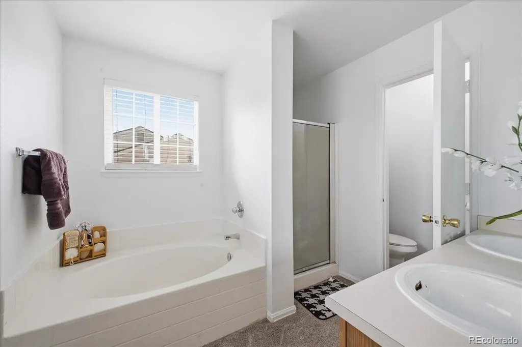 14363 E 47th Drive Denver CO 80239