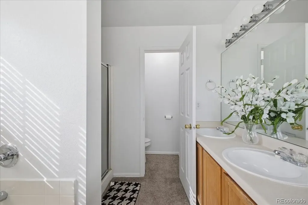 14363 E 47th Drive Denver CO 80239