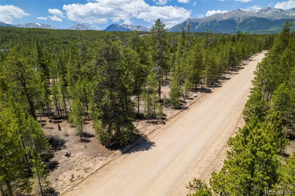 294 Peak View Drive Twin Lakes CO 80461