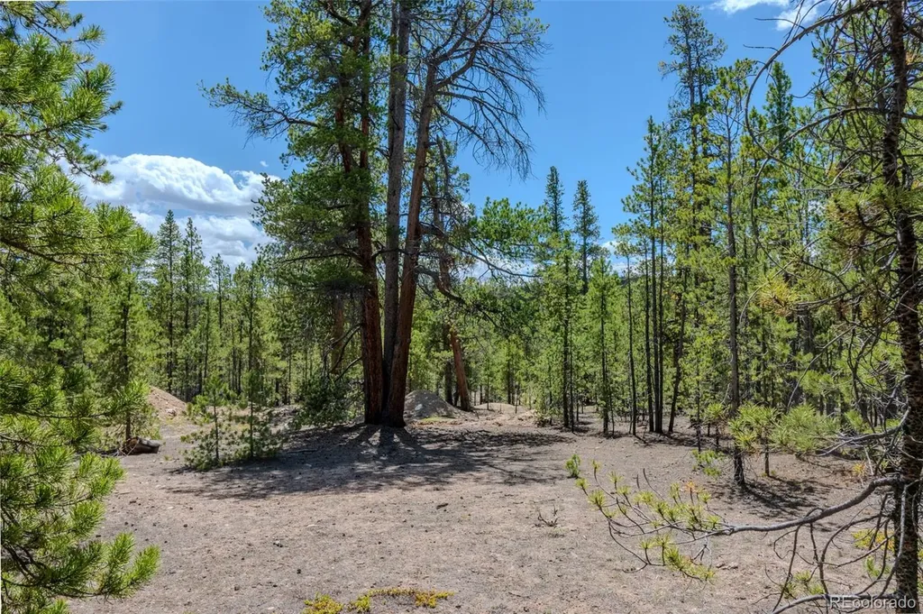 294 Peak View Drive Twin Lakes CO 80461