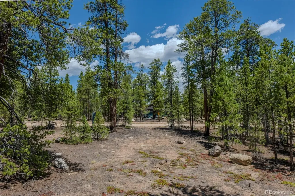 294 Peak View Drive Twin Lakes CO 80461