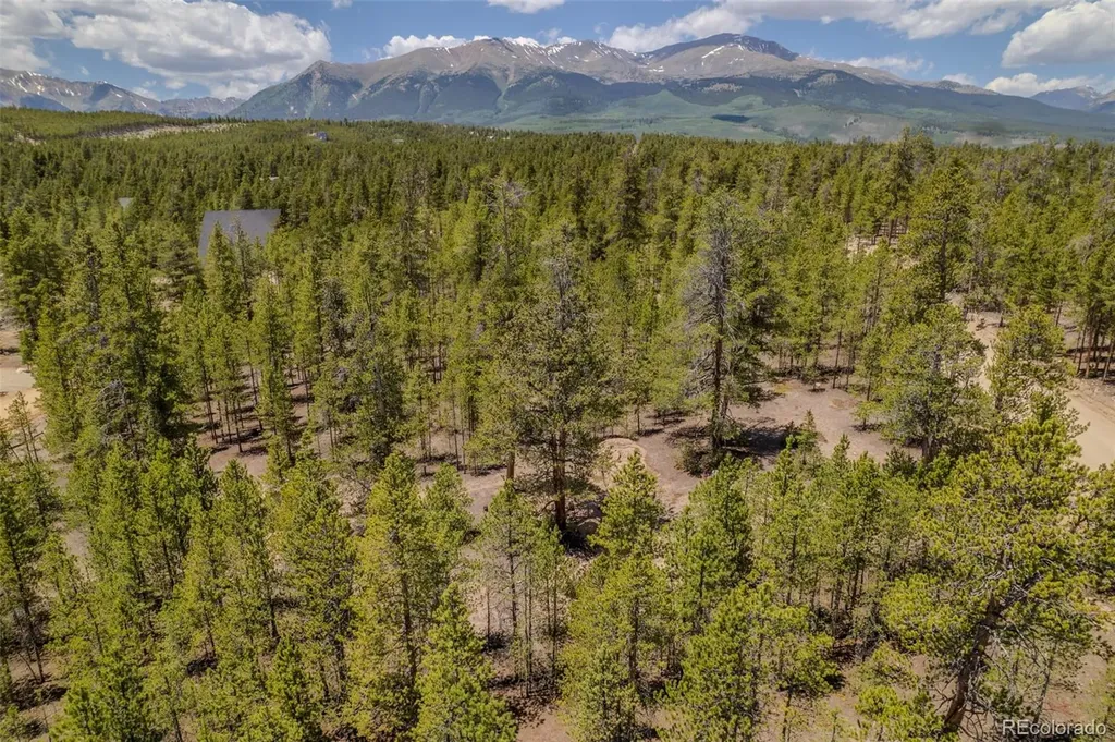 294 Peak View Drive Twin Lakes CO 80461