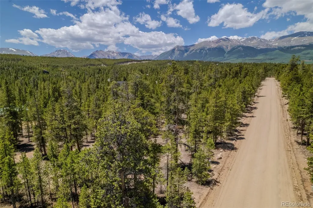294 Peak View Drive Twin Lakes CO 80461