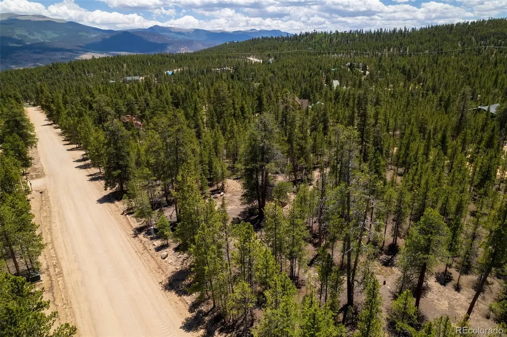 294 Peak View Drive Twin Lakes CO 80461
